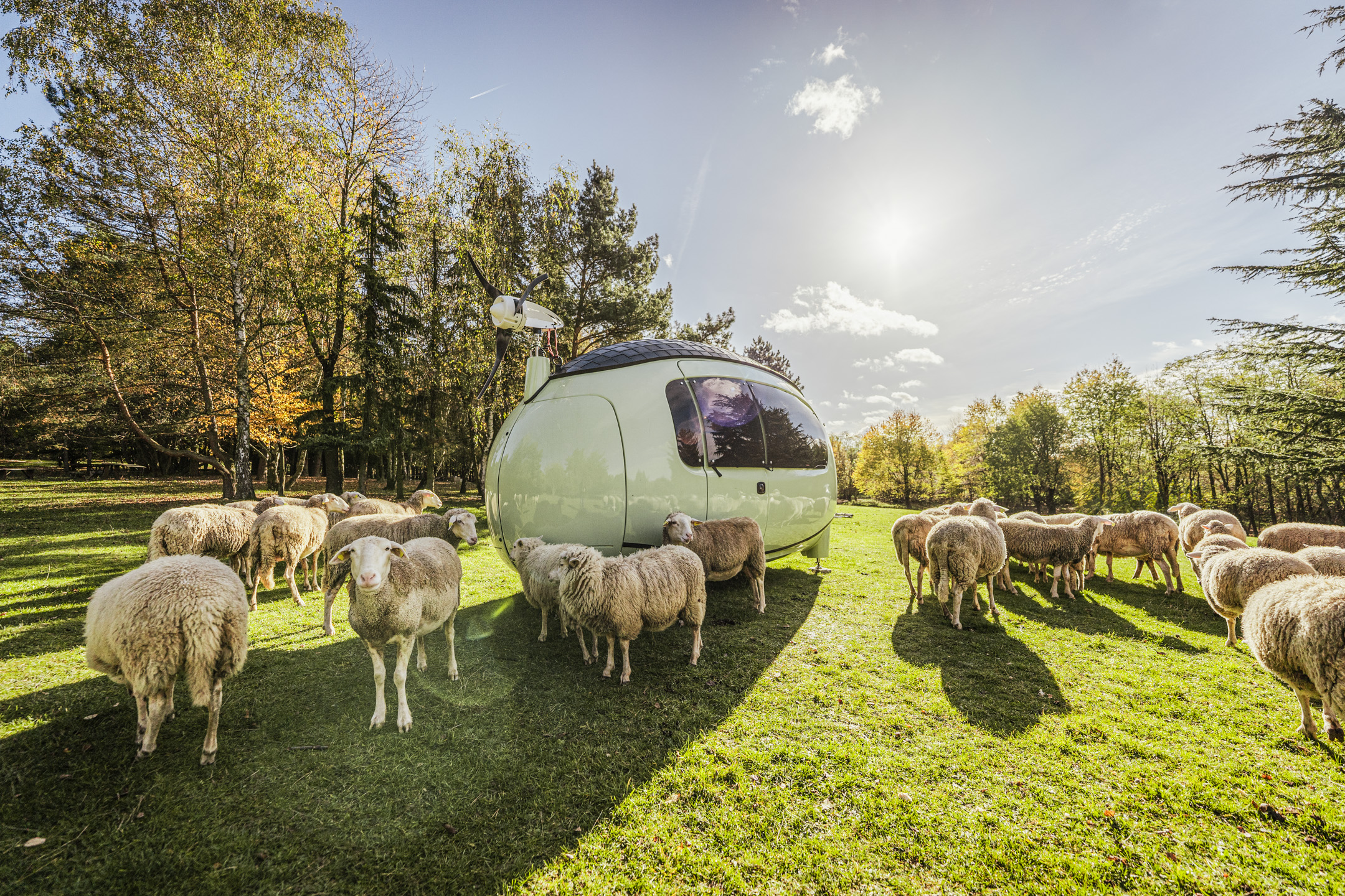 Biofarm in Stupava, Slovakia, accommodation for tourists